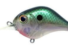Bill Lewis MR-6 Green Gizzard Shad - MR6-720