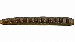 Roboworm Ned Worm 3" Aaron's Green Pumpkin