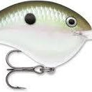 Rapala DT-20 Green Gizzard Shad