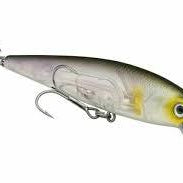 Strike King KVD Jerkbait 200 Clearwater Minnow