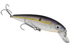 Strike King KVD Jerkbait 200 Crystal Shad