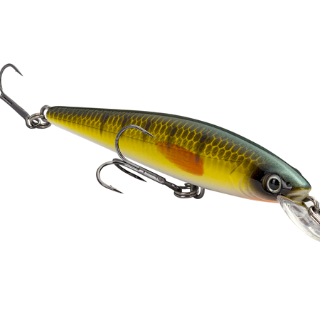 Strike King KVD Jerkbait 100 Sugar Daddy