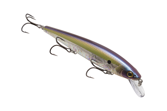 Strike King KVD Elite Jerkbait 300 TN Shad 2.0