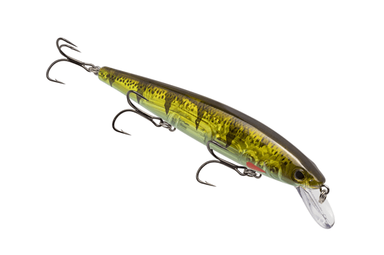 Strike King KVD Elite Jerkbait 300 Pro Phantom Perch
