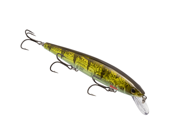 Strike King KVD Elite Jerkbait 300 Pro Phantom Perch