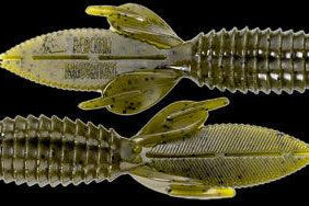 Reaction Innovations Sweet Beaver 4.20 Green Pumpkin