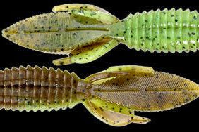 Reaction Innovations Sweet Beaver 4.20 Dirty Sanchez**