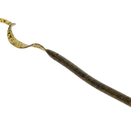 Strike King Zeus Worm Green Pumpkin(D) 9.5