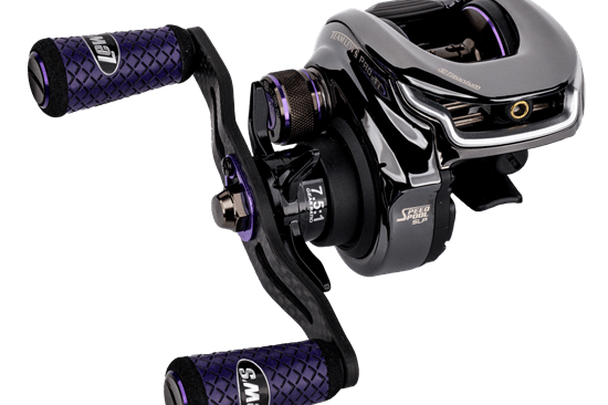 Lew's Pro TI Baitcast Reel