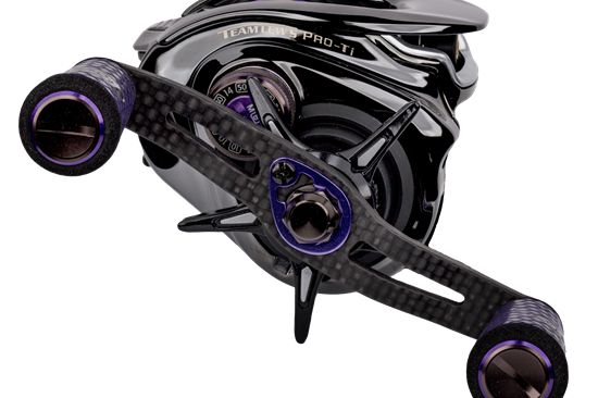 Lew's Pro TI Baitcast Reel