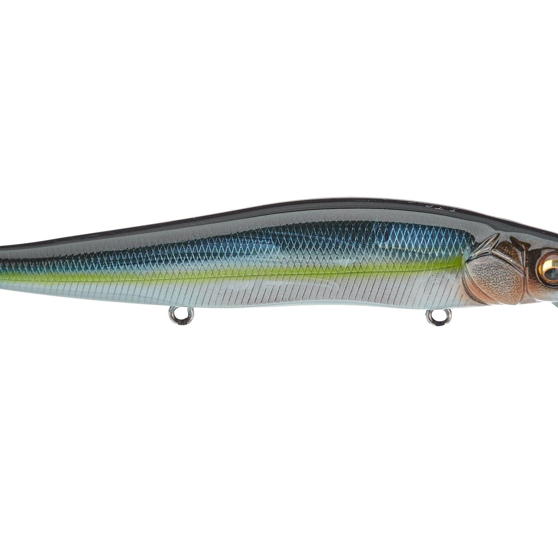 Megabass Vision 110 MG Sexy Stream