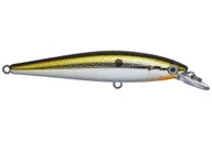 Strike King KVD Jerkbait 100 Chrome Gold Black