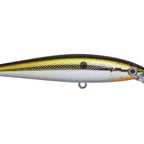 Strike King KVD Jerkbait 100 Chrome Gold Black