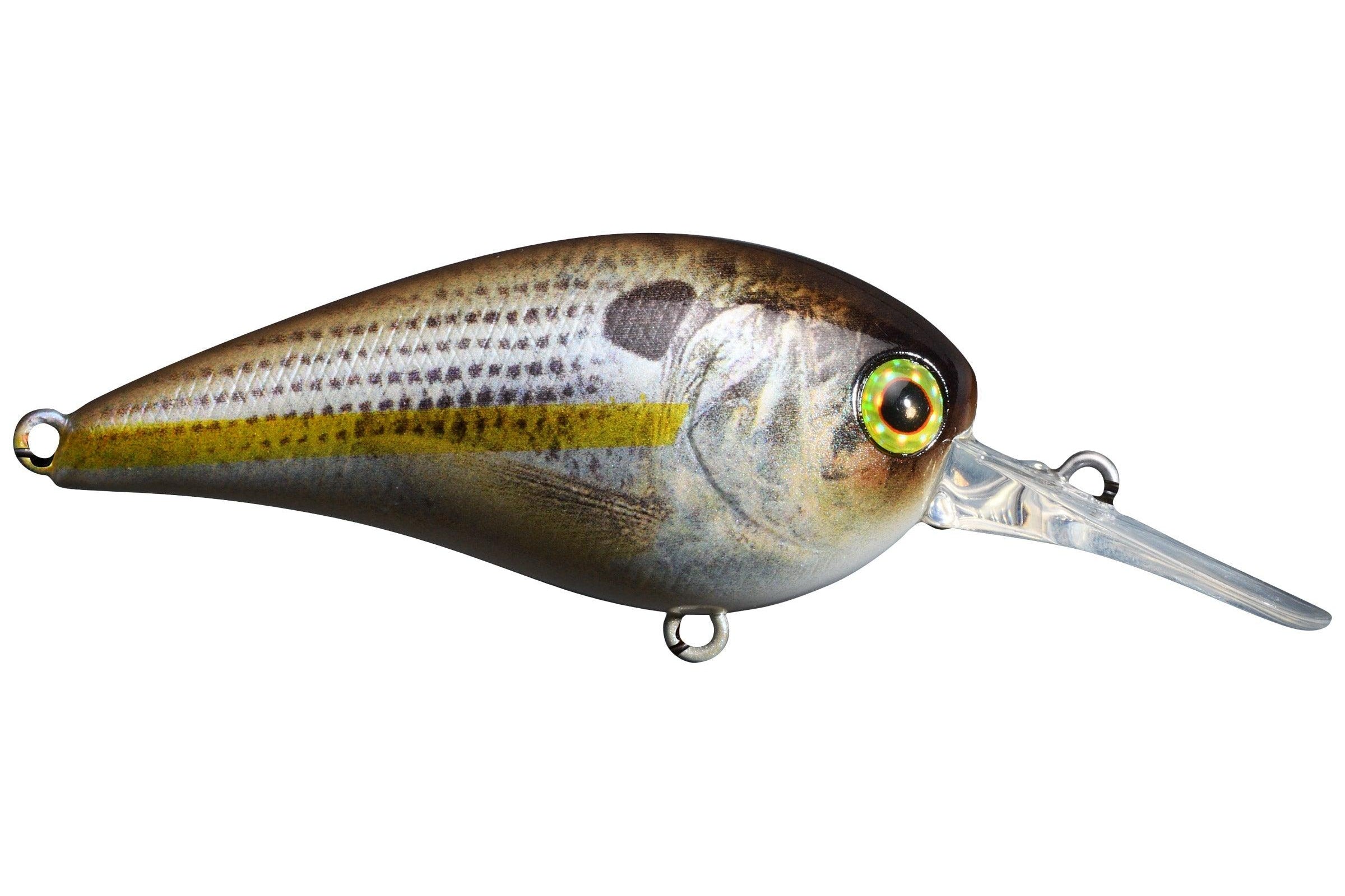 Jackall MC60 Crankbait MR