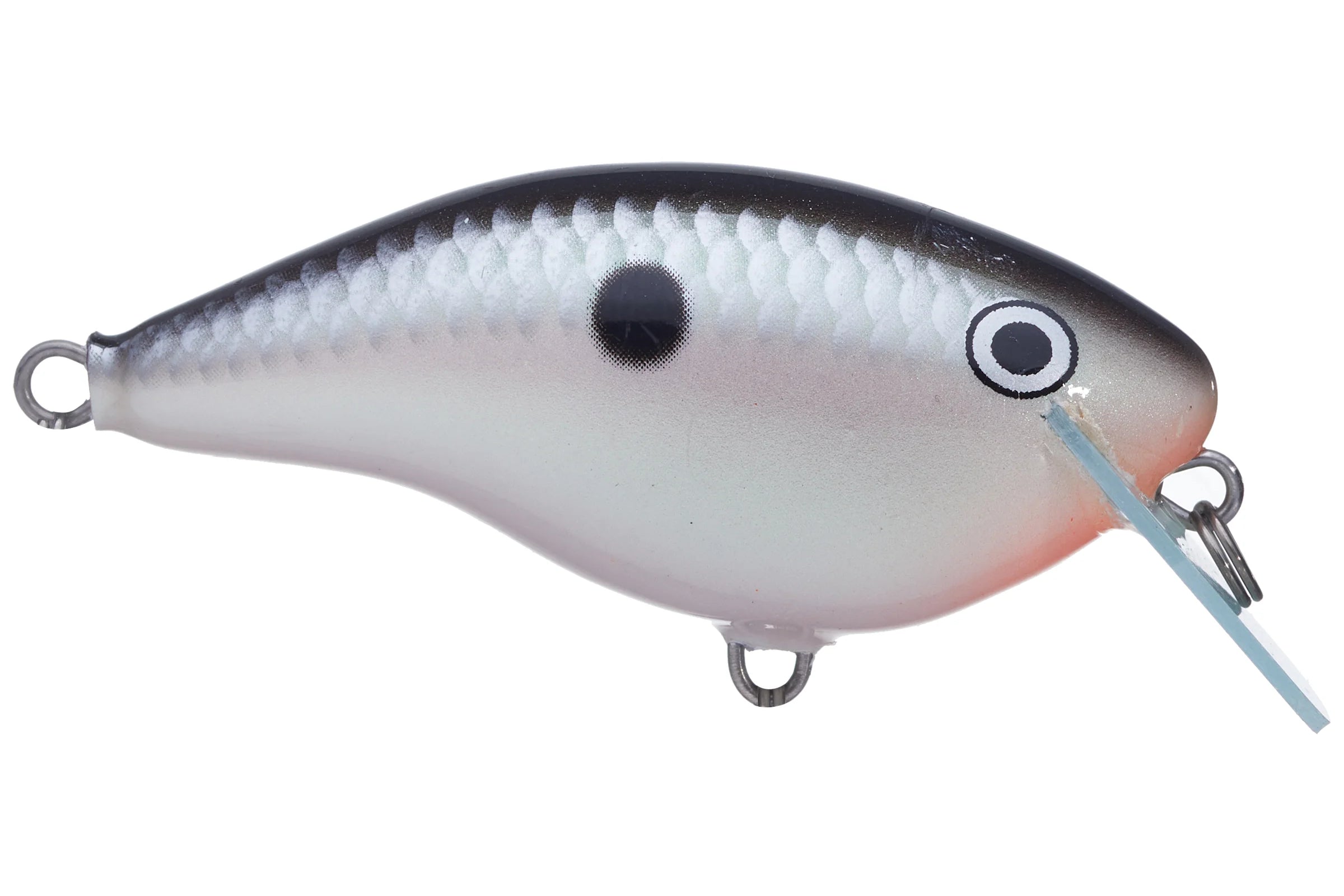 Rapala Ott’s Garage OG Rocco 5 Crankbait Tuxedo Shad
