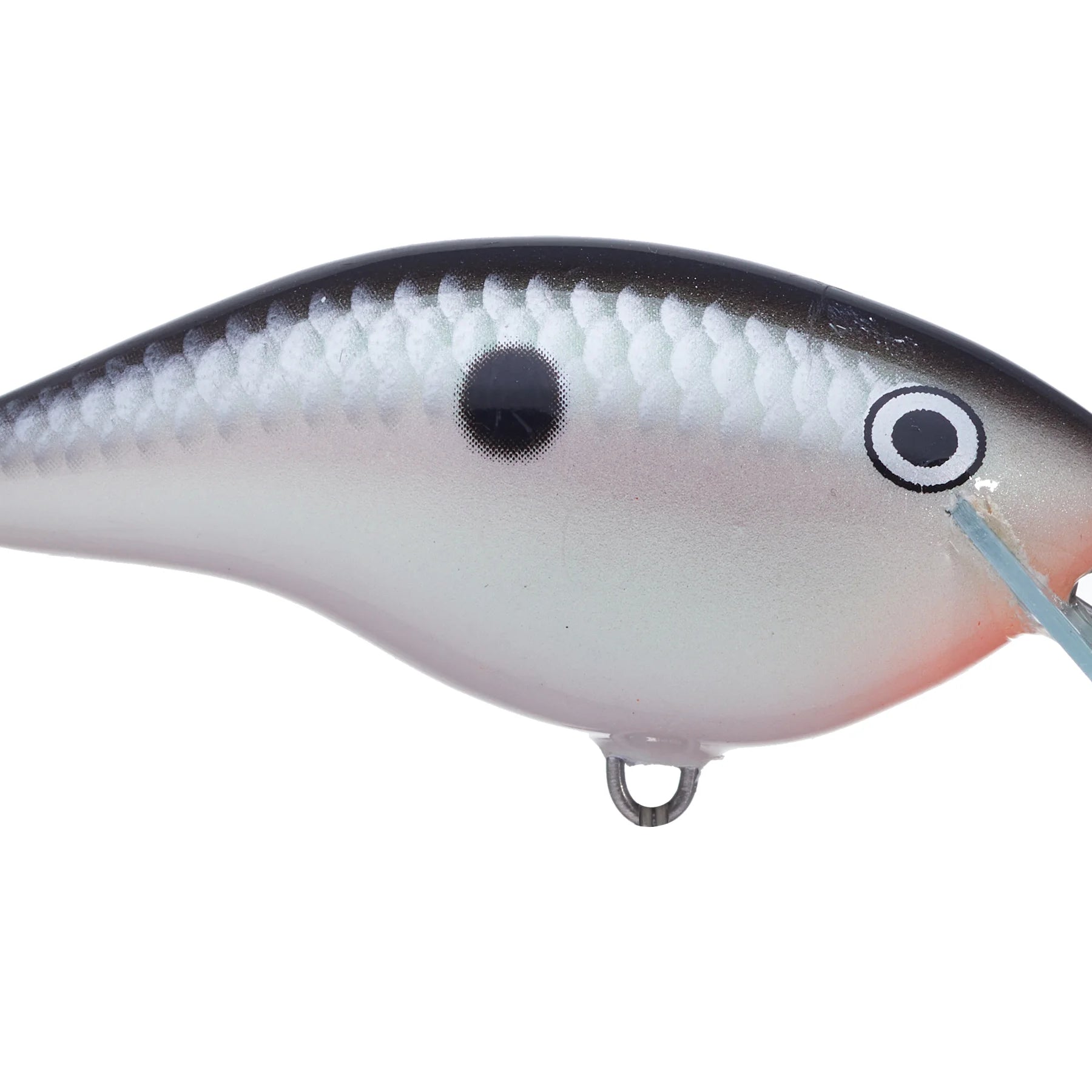 Rapala Ott’s Garage OG Rocco 5 Crankbait Tuxedo Shad