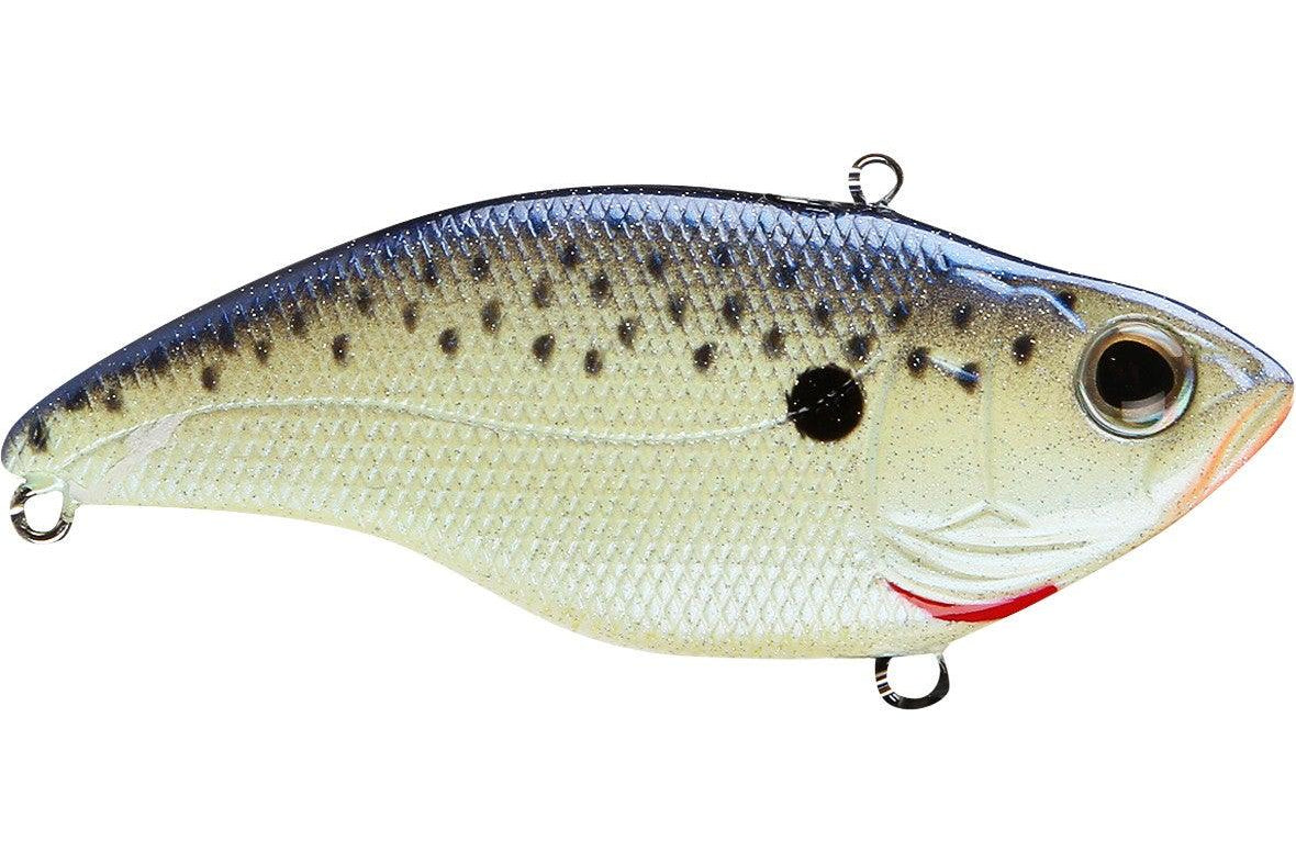 SPRO Essential Series Aruku Shad 75 Lipless Crankbait Cellmate