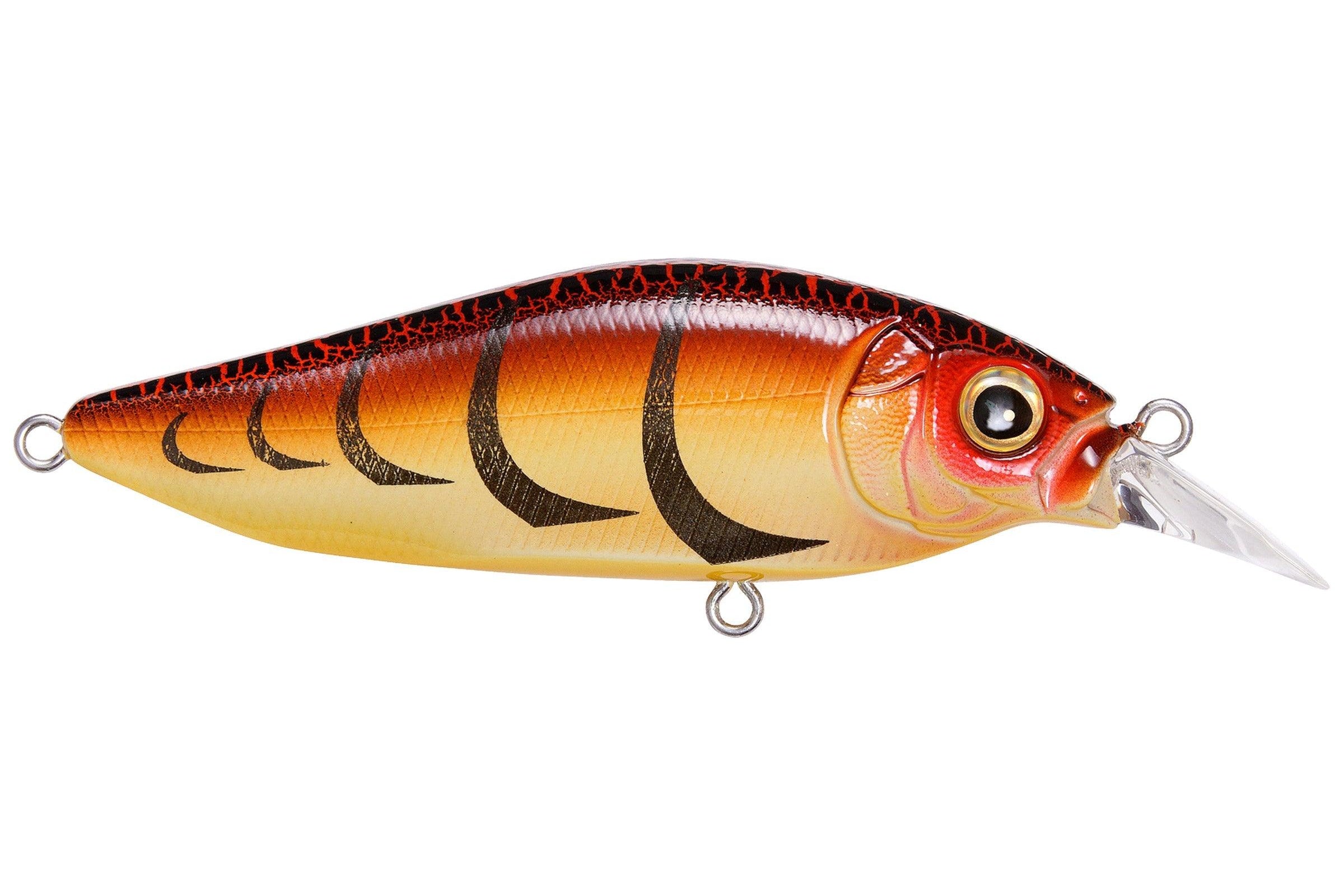 Megabass Flapslap Tora Zari