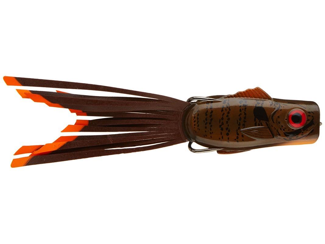 Strike King KVD Popping Perch Green Pumpkin Gill