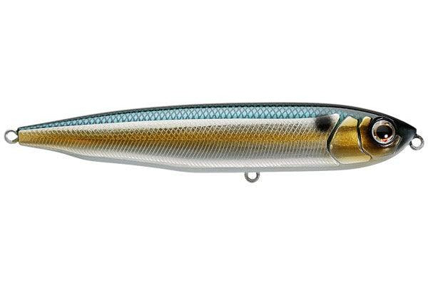 Yellow Magic Havana Threadfin