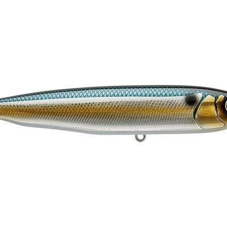 Yellow Magic Havana Threadfin