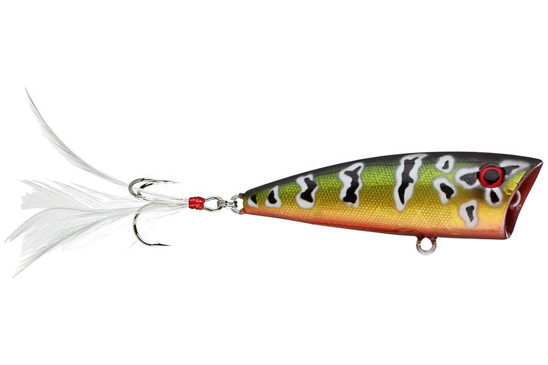 Yellow Magic 1/4 Poppers Peacock