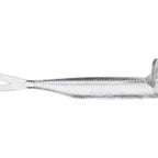 Deps Frilled Shad 4.7" #32 Clear