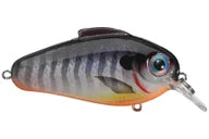 Bill Lewis Echo 1.75 Squarebill Crankbait