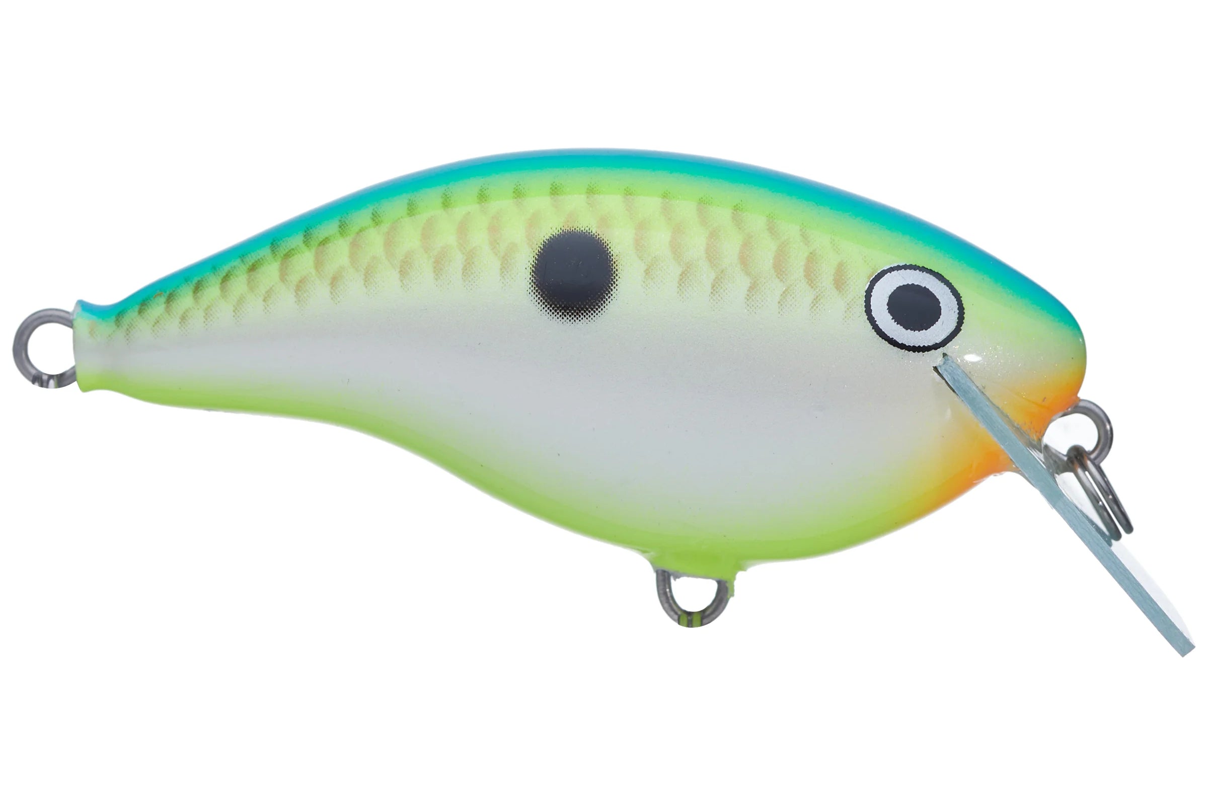 Rapala Ott’s Garage OG Rocco 5 Crankbait Citrus Shad