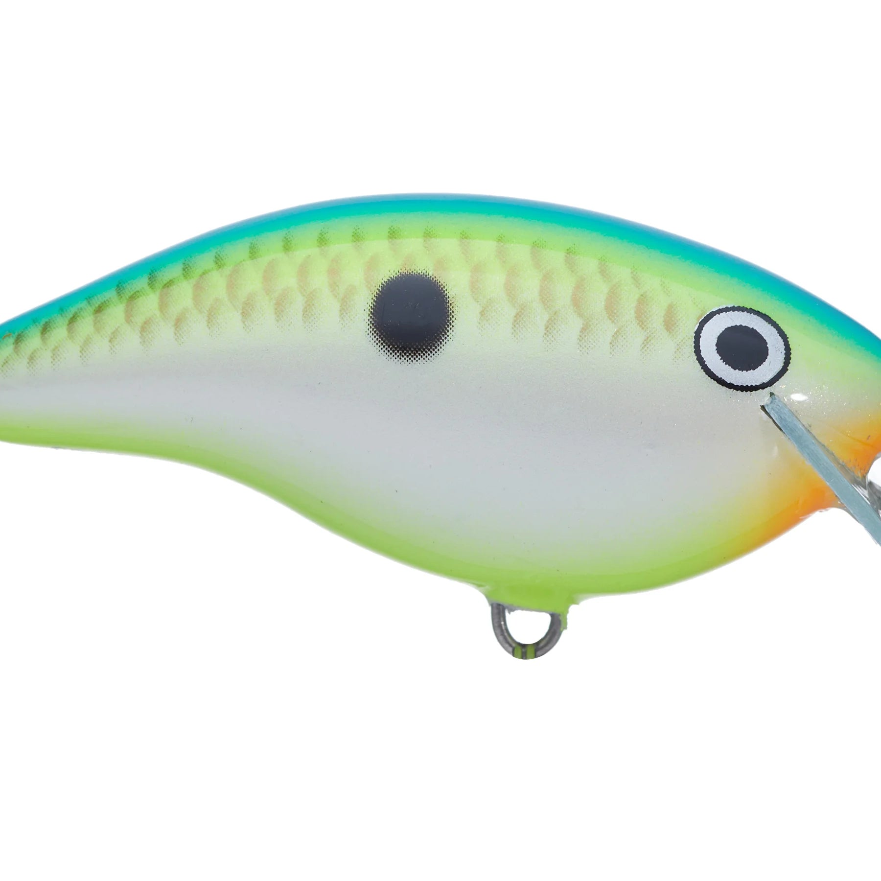 Rapala Ott’s Garage OG Rocco 5 Crankbait Citrus Shad