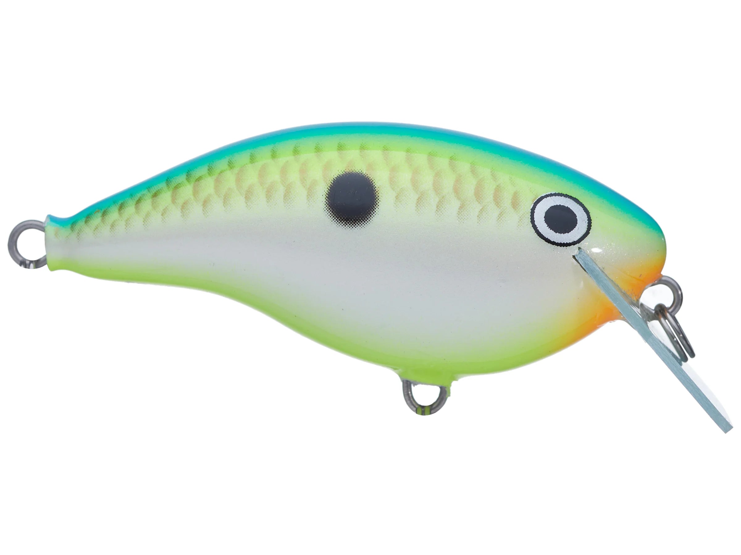 Rapala Ott’s Garage OG Rocco 5 Crankbait Citrus Shad