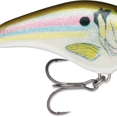 Rapala Ott’s Garage Slim 06 Crankbait Live River Shad (D)