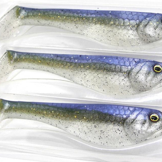 Beast Coast Swimmer Violet Threadfin