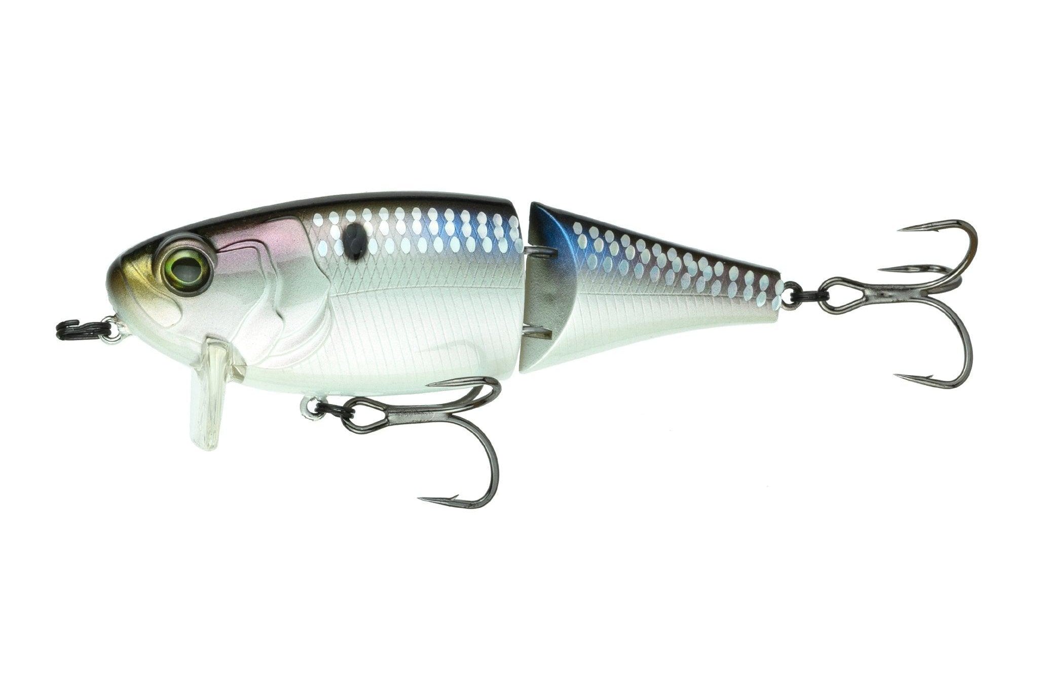 6th Sense Speed Wake 100