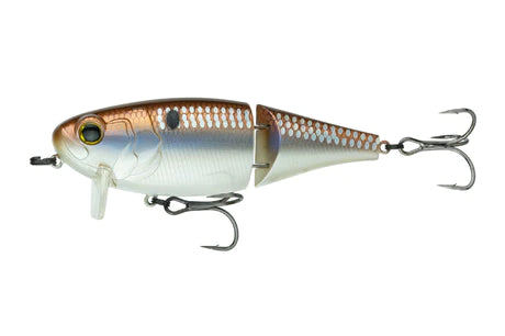 6th Sense Speed Wake 100