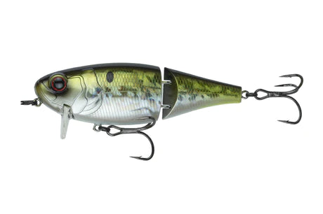 6th Sense Speed Wake 100 American Shad