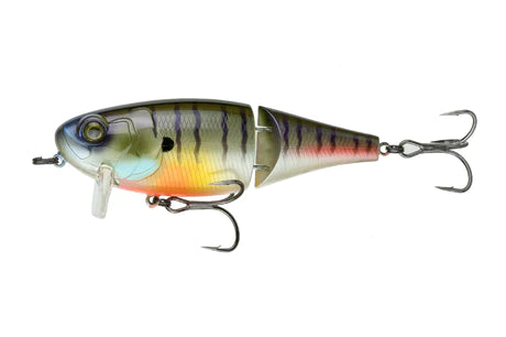 6th Sense Speed Wake 100