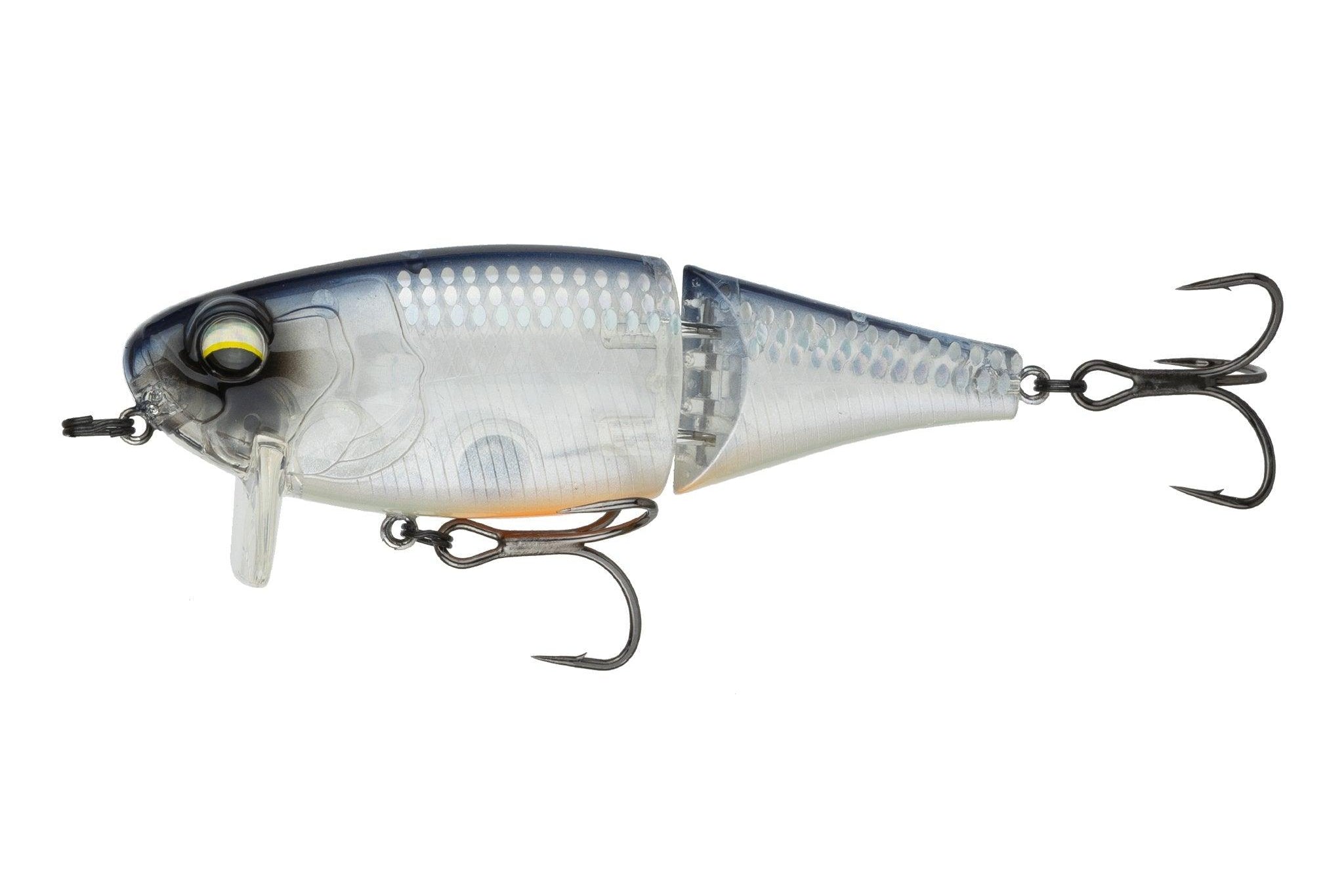 6th Sense Speed Wake 100