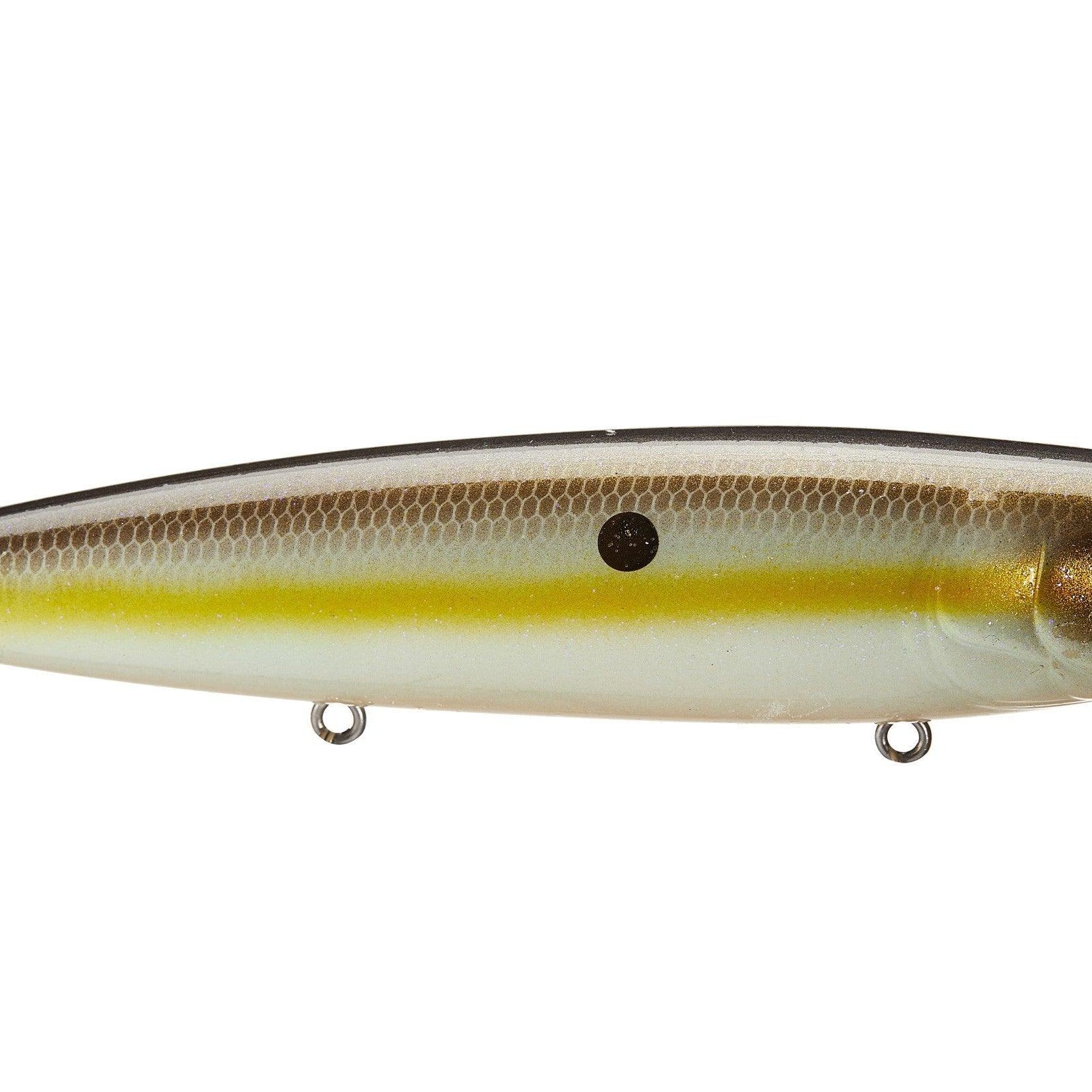 Strike King KVD Mega Dawg Summer Sexy Shad