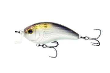 6th Sense Swank 77x 4K Shad