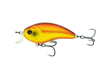 6th Sense Swank 66x Brown Eye Special