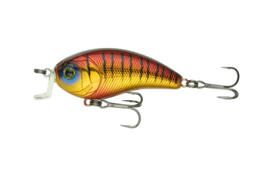 6th Sense Swank 66x Rayburn Gill