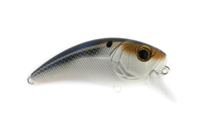 6th Sense Movement 80x