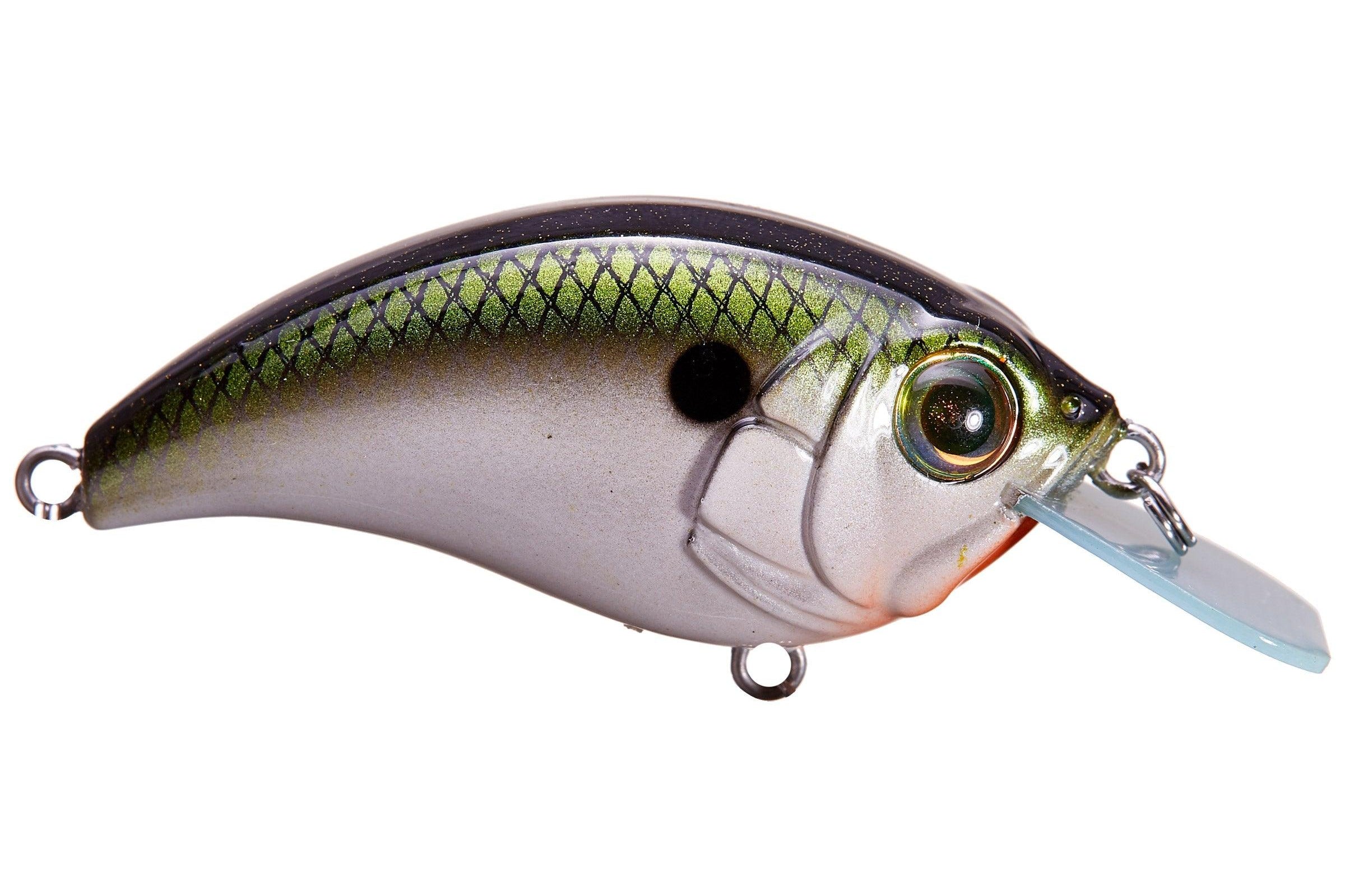 Bill Lewis SB-57 Signature Crankbait Tennessee Shad