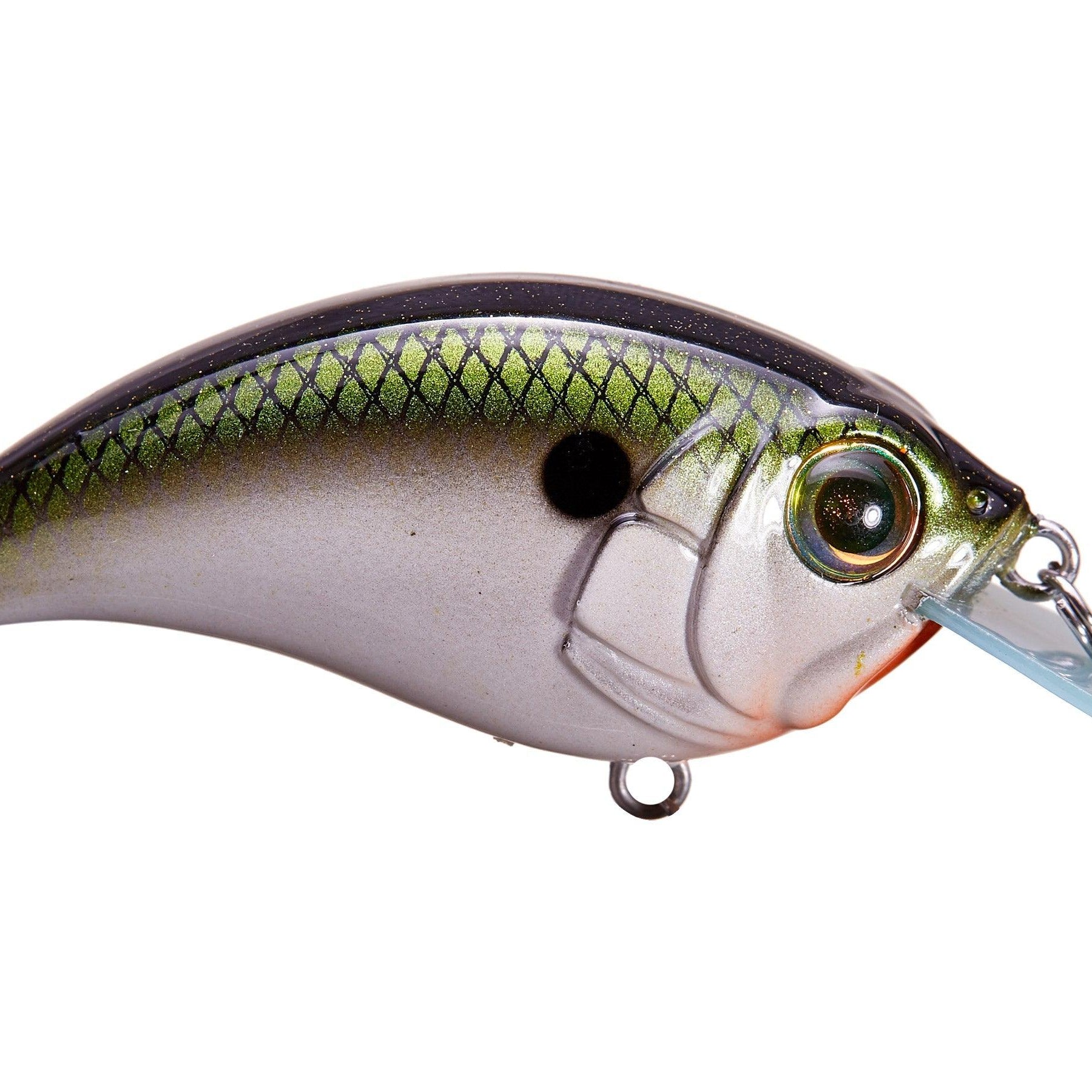 Bill Lewis SB-57 Signature Crankbait Tennessee Shad