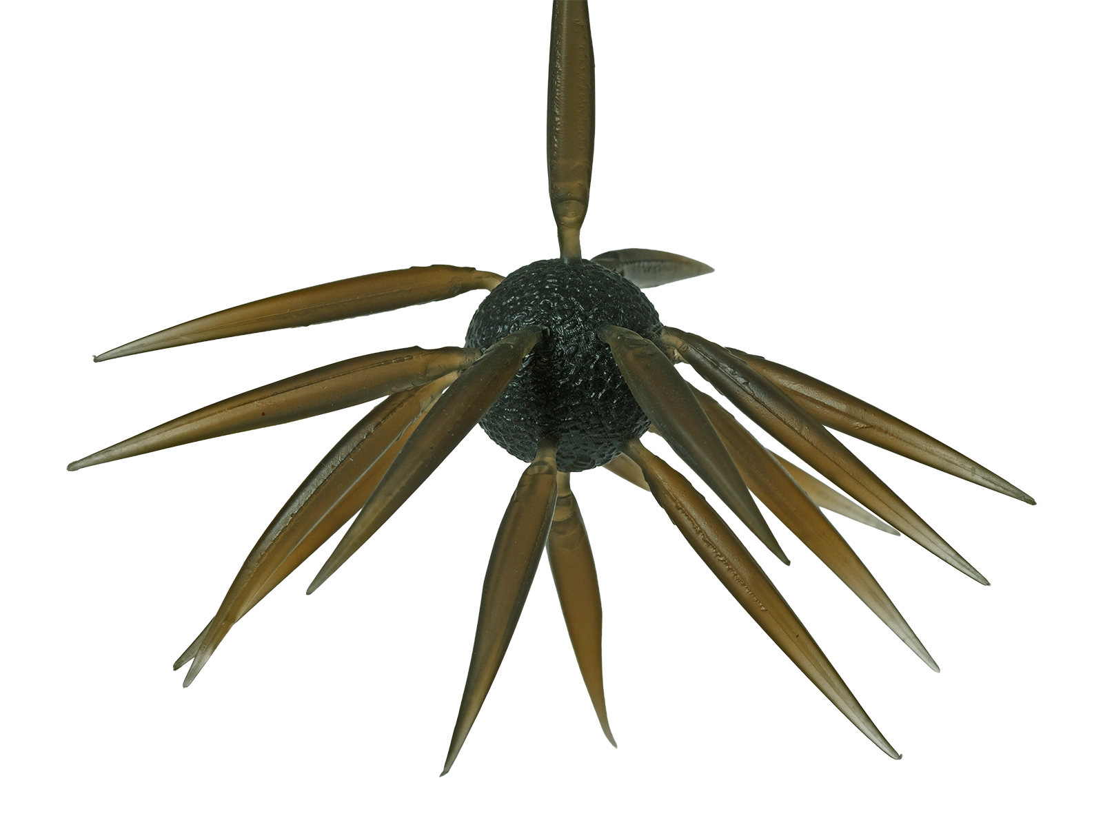 Hideup Coike Fish Elastomer Creature Bait
