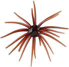 Hag’s Prickly Pear Red Dirt Renegade (Red Bug)