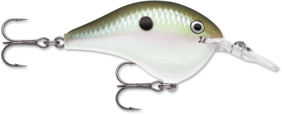 Rapala DT-8 Green Gizzard Shad