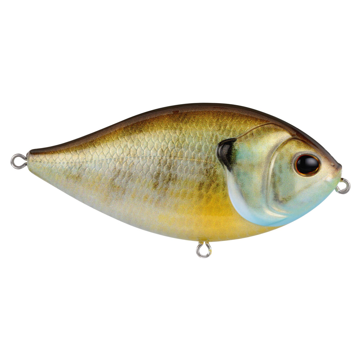 Berkley Slap Gill Topwater Walking Bait Female Gill