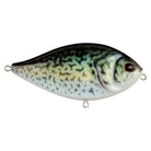 Berkley Slap Gill Topwater Walking Bait Crappie